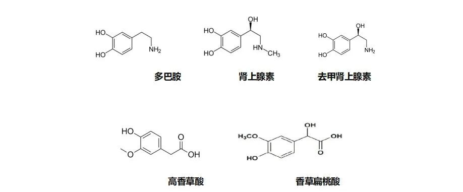 儿茶酚胺及其代谢物的临床质谱检测
